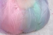Goose Feathers