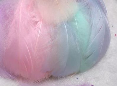 Goose Feathers