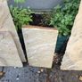 Free Patio Slabs Image 4