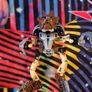 LEGO Bionicle Pohatu Nuva figure set 8568 Image 2