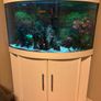 Fish tank 190 Image 3