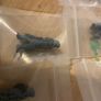 Warhammer 40k Death Korps of Krieg Proxy Squad Image 3