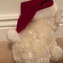 White Christmas teddy Image 5