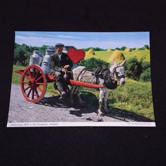 Ireland Postcard :Delivering Milk to the Creamery , Ireland - 1960s