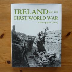 Ireland and the First World War (book)