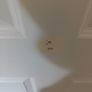 Doors x 4 Image 3