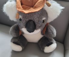 Koala Bear Teddies Plush Toys Teddy