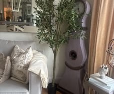 Very  large Olive tree