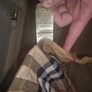 Mens Authentic Burberry Shirt Image 3