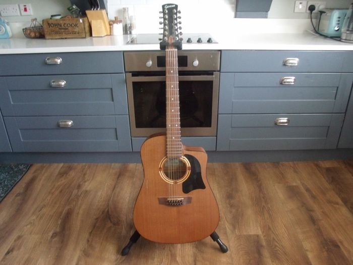 Garrison GD-20-12 CE 12 string Guitar - Spares or Repairs - 2007 Made in Canada
