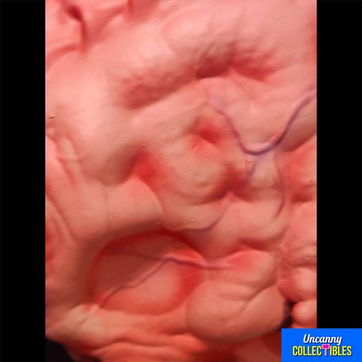 Teenage Mutant Ninja Turtles Krang 1:1 Latex Prop Trick or Treat Studios