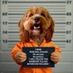 bonniebunty63