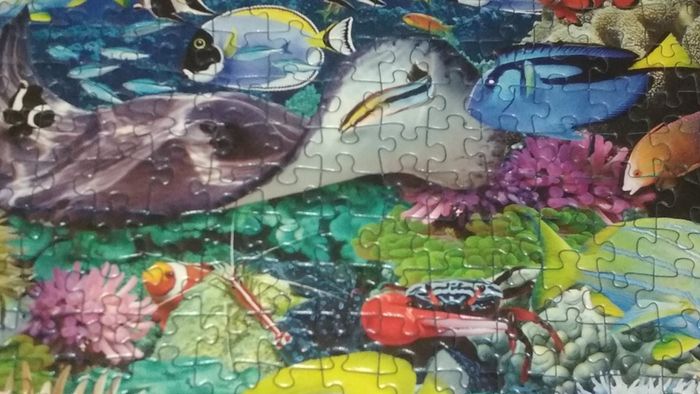 Jewels of the sea Ravensburger Jigsaw puzzle 1000pcs 70x50cm