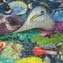 Jewels of the sea Ravensburger Jigsaw puzzle 1000pcs 70x50cm Image 5