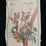 vintage tea towels, Calender, birthday, memorabilia, Australia, tourism, Image 6