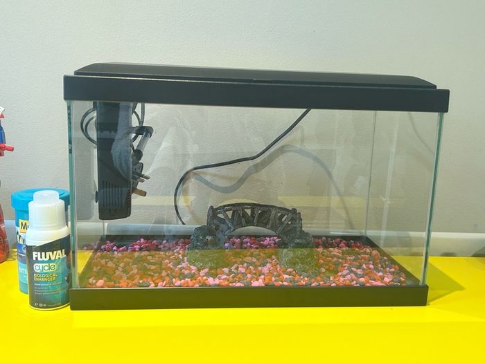 fish tank
