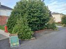 Garden services Image 3