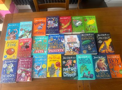 David Walliams 22 books bundle