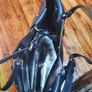 Pierre Cardin Navy Leather Handbag Image 5