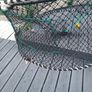 fishing Image 2