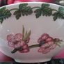 Portmeirion,  Pomona, Redcurrant,bowl Image 3