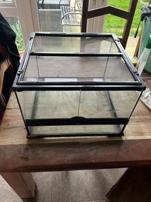 reptile enclosure