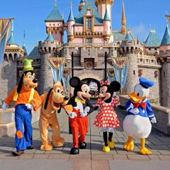 Disneyland Orlando Accommodation 1 Week S/C