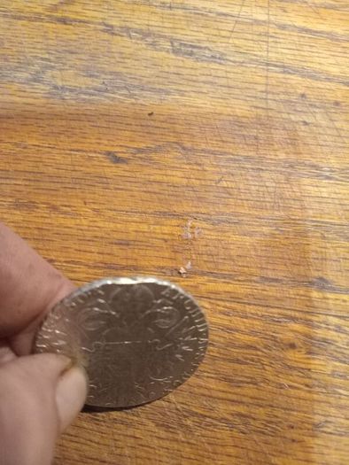 coin