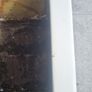 Plant Pot Image 4