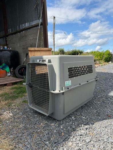 Extra Large IATA dog crate