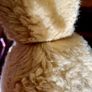 Vintage Long Teddy with Original Amber Glass Eyes 1950s Image 8