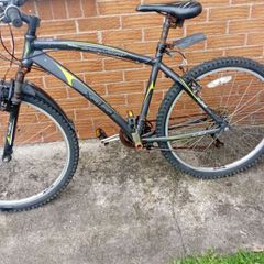 adults bike