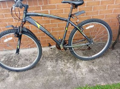 adults bike