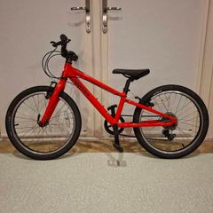 Ridgeback dimension 20 - 20inch