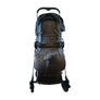 iCandy Raspberry Stroller/Buggy/Pushchair Image 2