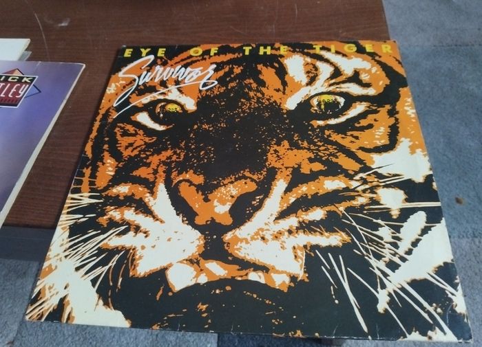 survivor vinyl