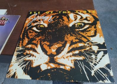 survivor vinyl