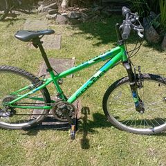 Edgar 24 inch bike