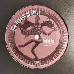 Visions Of Shiva - Perfect Day - MFS Records '95 Re-issue - PIANO Trance BANGER! Quintessential Dublin CLASSIC!