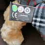 Teddy Bear Image 5