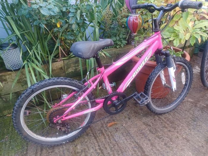 Power kids bike