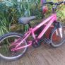 Power kids bike Image 4