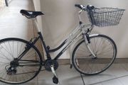 ladies city bike( can deliver)