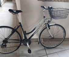 ladies city bike( can deliver)