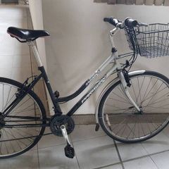 ladies city bike( can deliver)