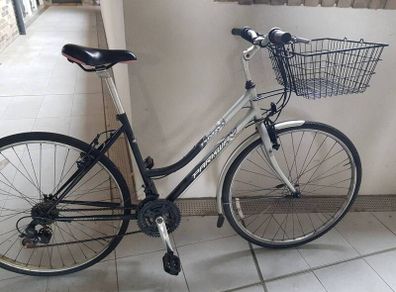 ladies city bike( can deliver)