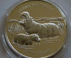 Hippos Silver Proof - 1996 - 50000 Pesos