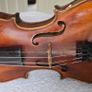 Violin Image 7