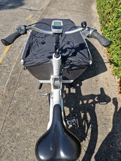 Urban Arrow Cargo Bike