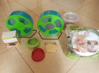 Hamster accessories